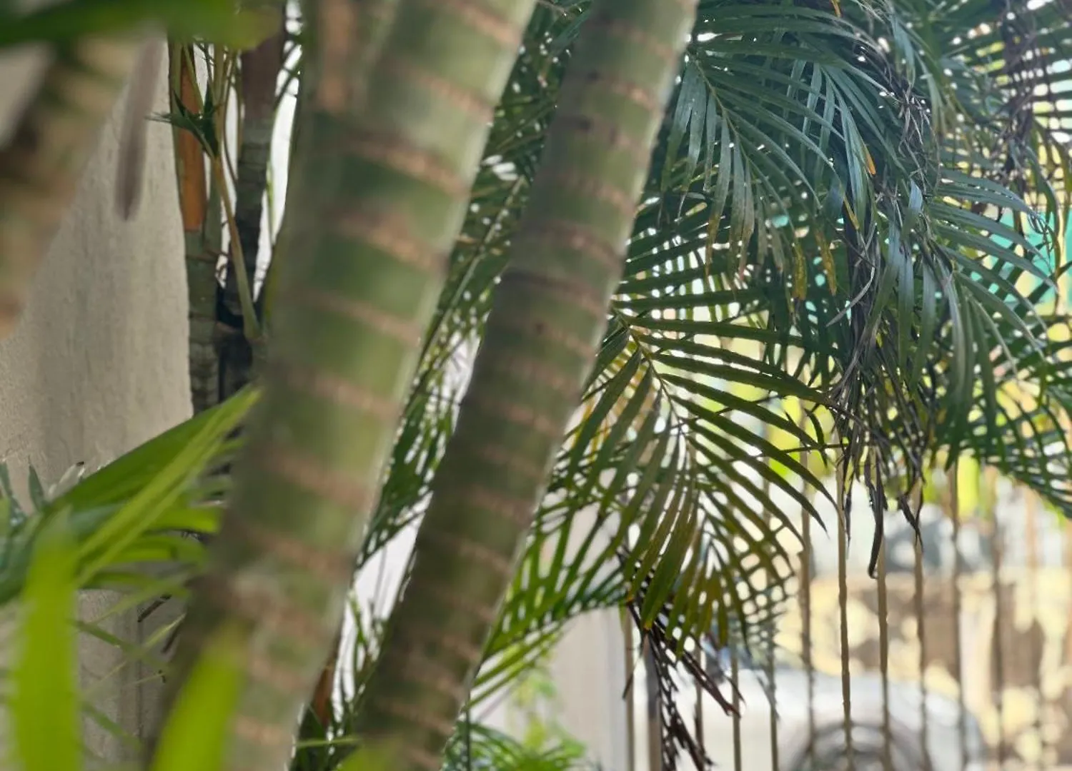 Hotel Pousada Villa Marina 福塔雷萨